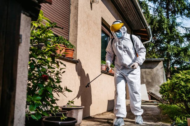 Best Termite Control Services  in Riverside, CA