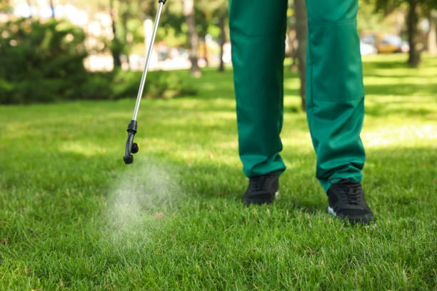 Best Bed Bug Extermination  in Riverside, CA