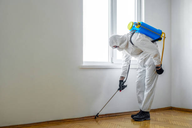 Best Pest Inspection Near Me  in Riverside, CA